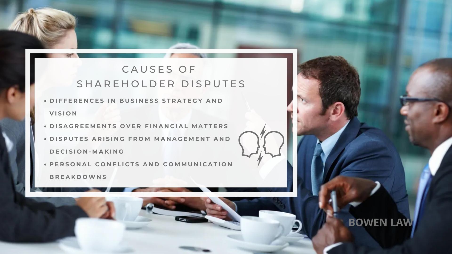 Infographic image of causes of shareholder disputes